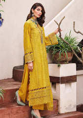 Lawn Collection - Motifz - Schiffli - D#3980 | LARA