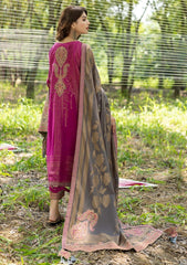 Winter Collection - Charizma - Dhage - Woven Shawl - CEW#04 available at Saleem Fabrics Traditions