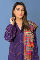Winter Collection - Lakhanay - Karandi - WEC-SA-134 available at Saleem Fabrics Traditions