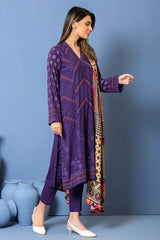 Winter Collection - Lakhanay - Karandi - WEC-SA-134 available at Saleem Fabrics Traditions