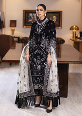 Winter Collection - Marjjan - Memsaab - Velvet - WV#5 available at Saleem Fabrics Traditions