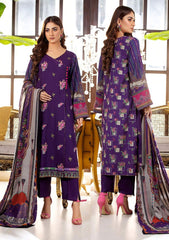 Winter Collection - Noor Jahan - Mina Hassan - D#8 available at Saleem Fabrics Traditions