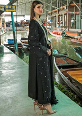 Winter Collection - Nureh - Bazaar - Chikankari - NW#79 available at Saleem Fabrics Traditions