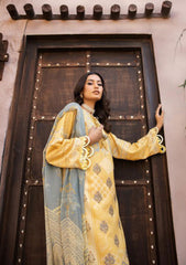 Winter Collection - Shaista - Saman - Karandi - D#434 available at Saleem Fabrics Traditions