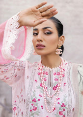 Winter Collection - Shaista - Saman - Karandi - D#445 available at Saleem Fabrics Traditions